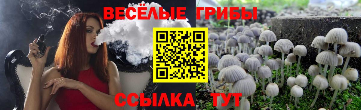 Галлюциногенные грибы Cubensis  Вход с VPN  Псилоцибиновые грибы Cubensis  Людиново 